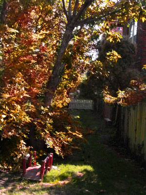 Just one of the wonderful view available to you as you explore the grounds of The Cottage Inn